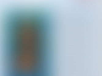 O CLARIM, destaca, São Francisco de Assis e seu amor pela natureza.