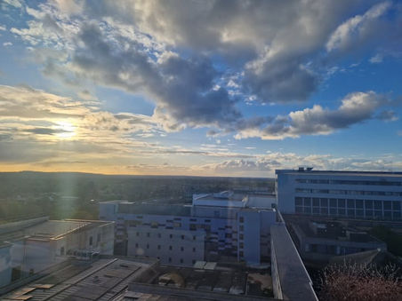 Are you a Red flag or Green flag Person?