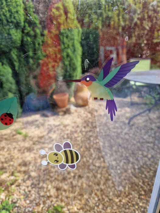Pic description. View from inside my Studio looking out onto the garden. Bushes seen through the glass. Stick on cute bird and bumble bee and ladybird. Things with Wings.