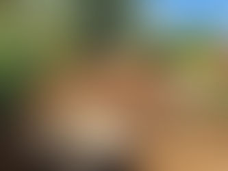 Purpose and why we ask 'why' a lot