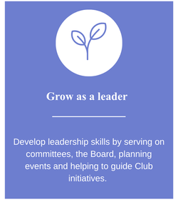 Website Graphics (2)