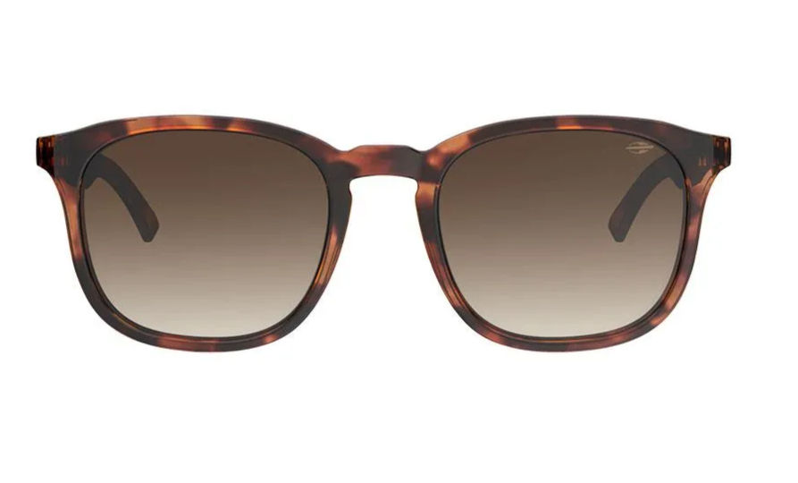 Miniatura: Mormaii Vancouver Magnetic Tortoise Brown