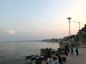 またねガンガー