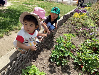 IMG_5796.JPG