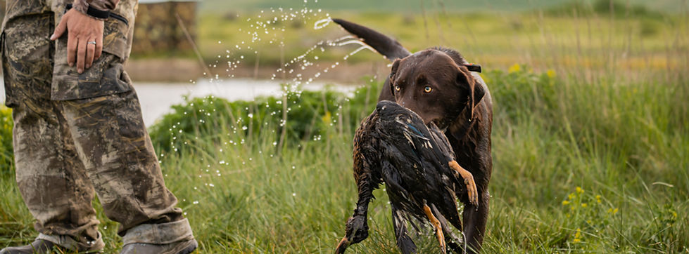GRC Junior Hunt Test-439.jpg