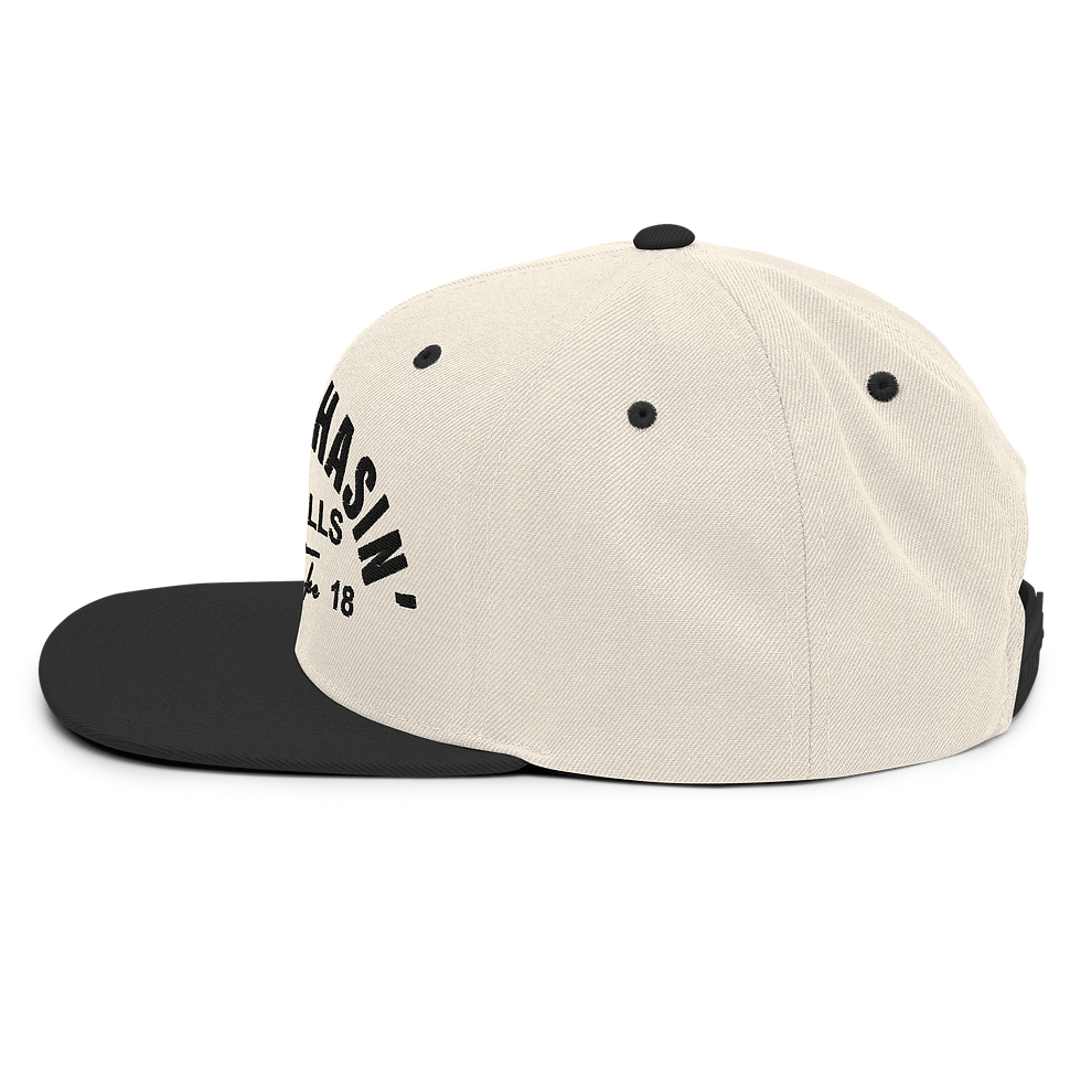 Thumbnail: Don't Go Chasin' Curveballs Snapback