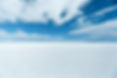group coaching programs