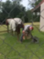 Farrier Rod_1.webp