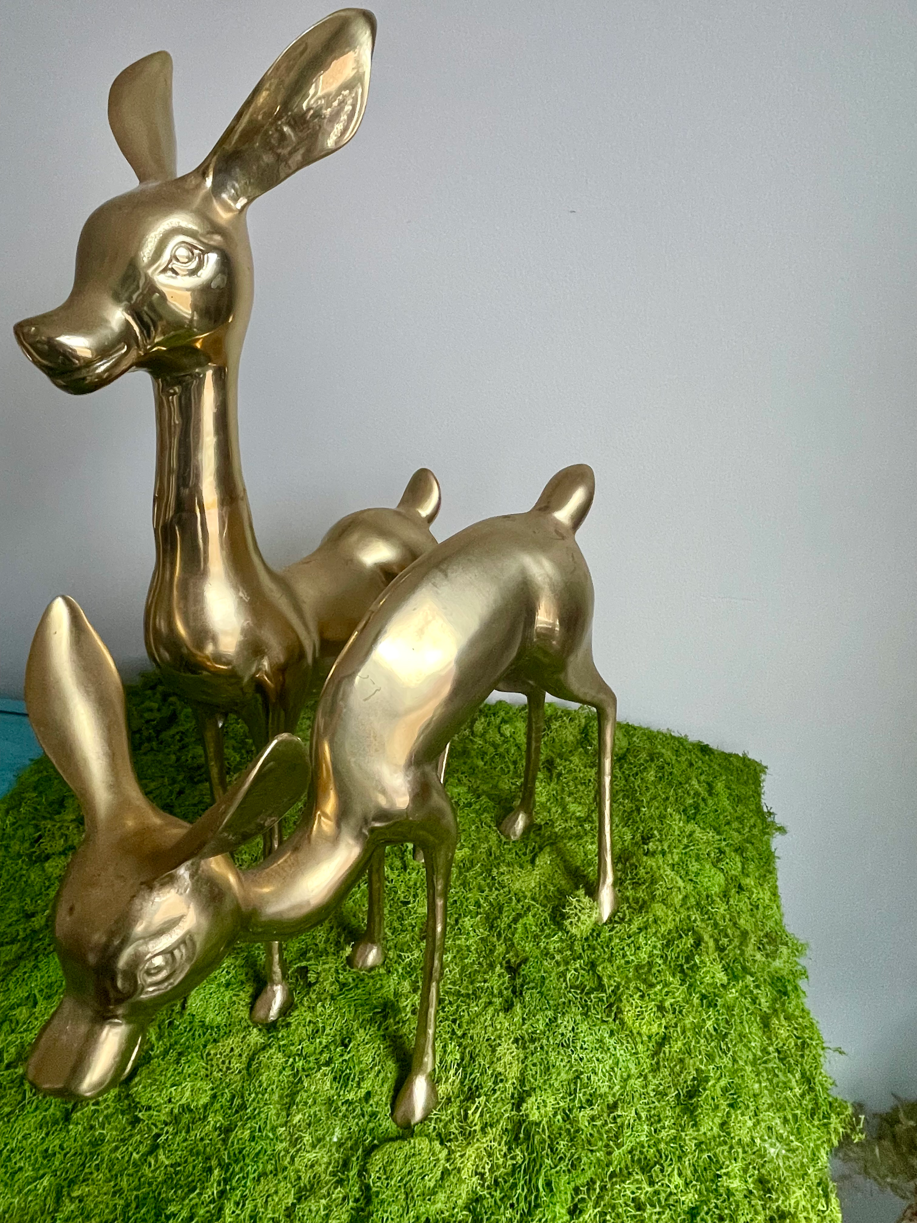 Antique Deer Set