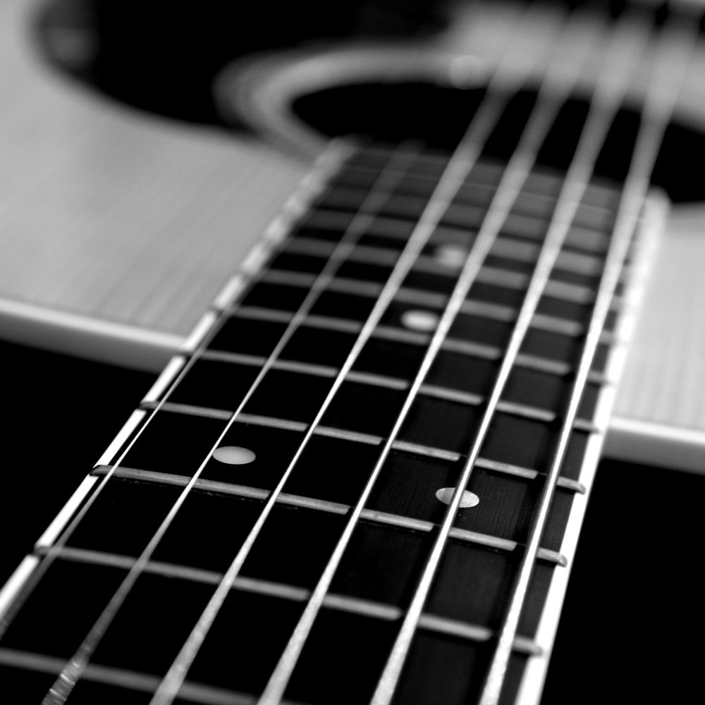 Guitar Richlite Fretboards?