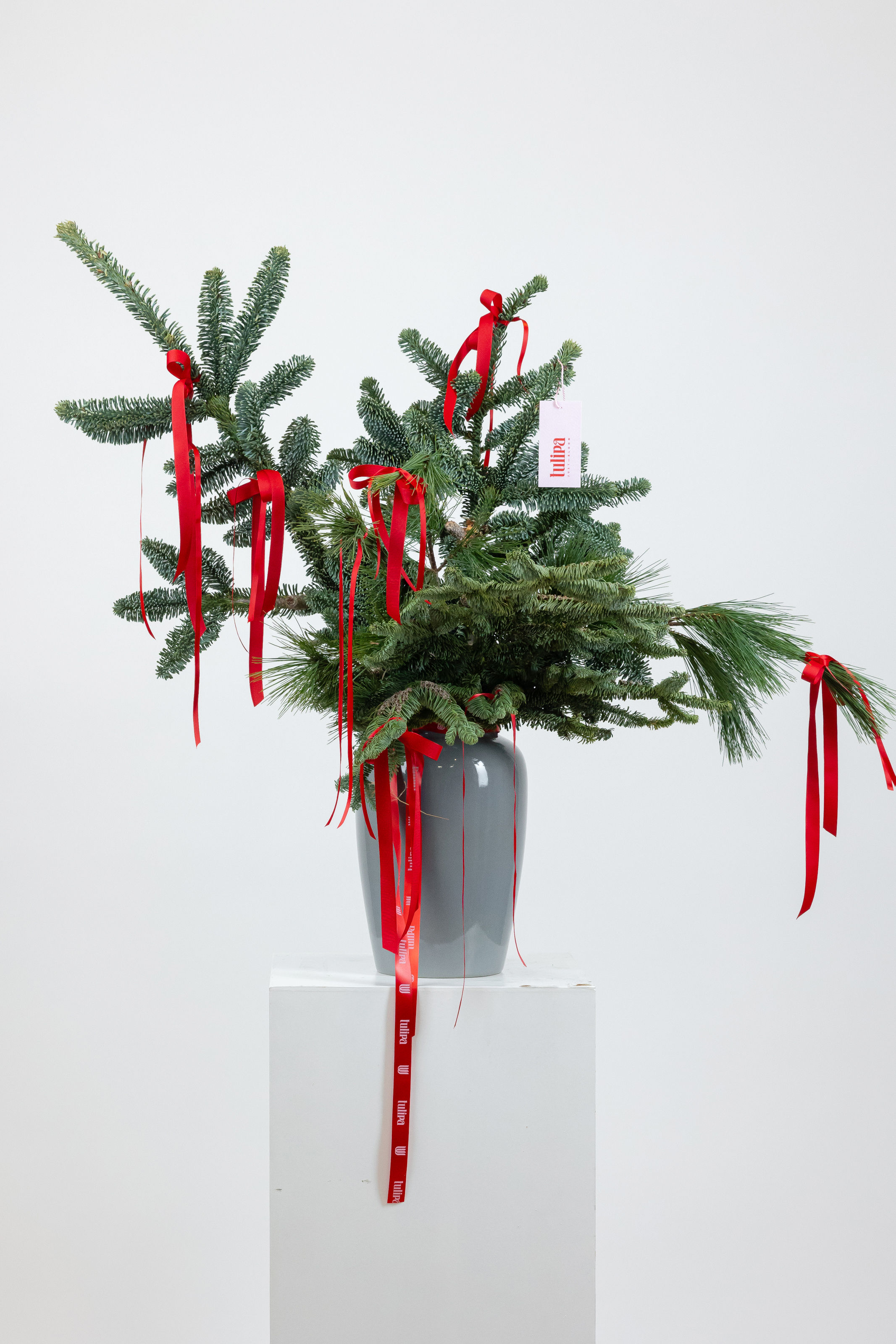 XMAS nobilis za vazu