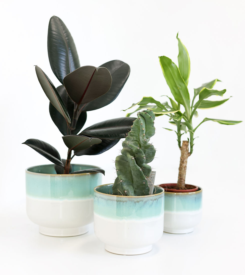 VASO CACHEPOT NUANCE