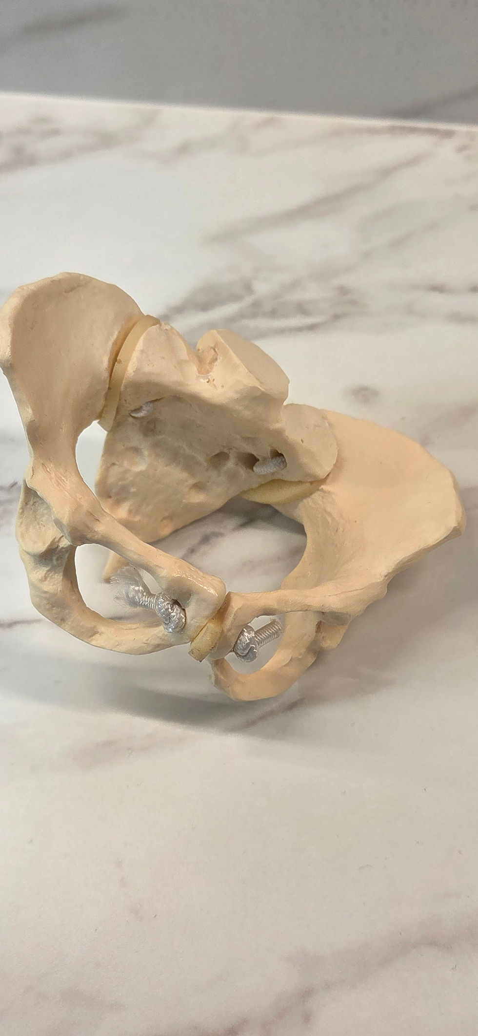 Thumbnail: Mini Baby + Pelvis Model