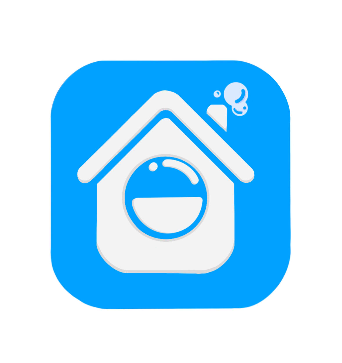 New Year, Clean Home