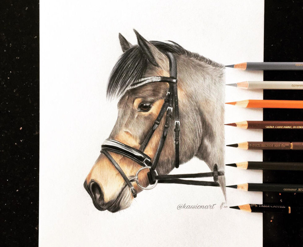 WhatsApp Image 2019-06-24 at 10.14.26 AM