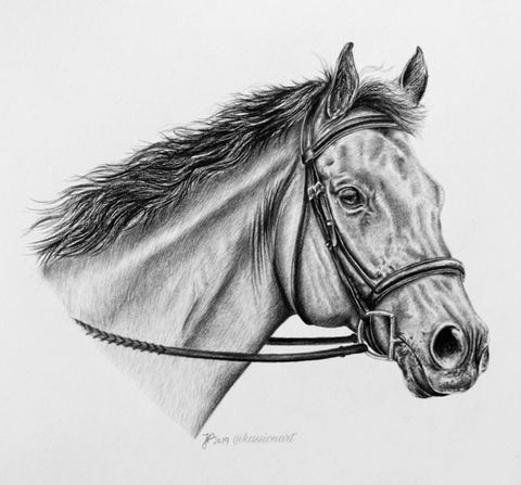 Realism Portrait - Graphite