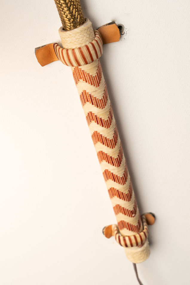 Antorcha del Pantanal (15)