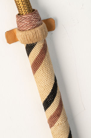 Antorcha del Pantanal (22)