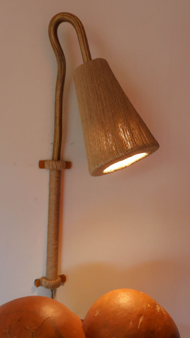 Antorcha lisa del Pantanal (7)