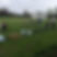 Cricket Pitch