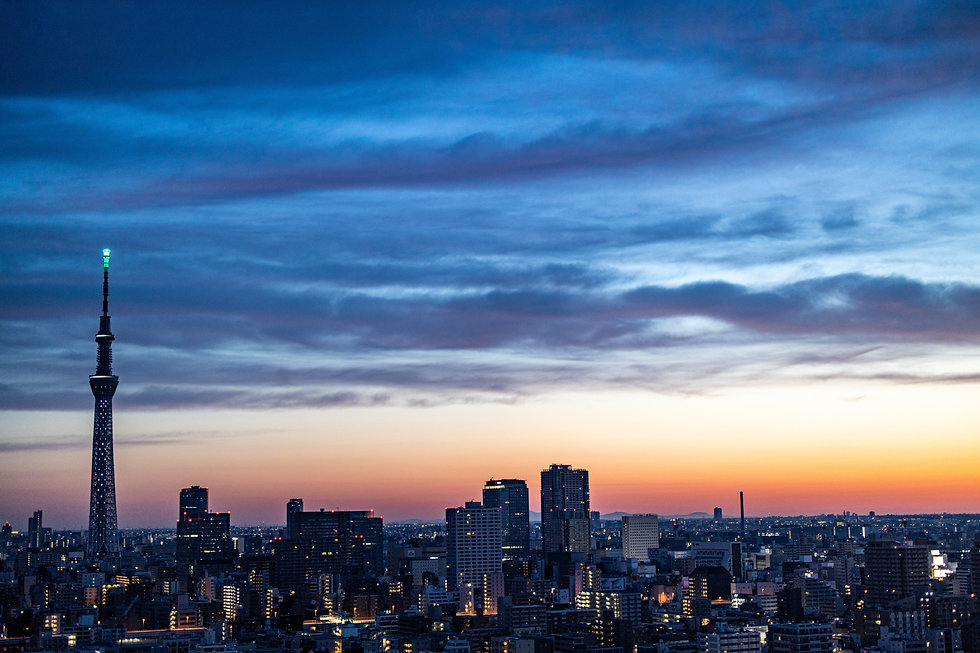 AdobeStock_351158439.jpeg