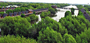 Taman Wisata Alam Mangrove Angke Kapuk