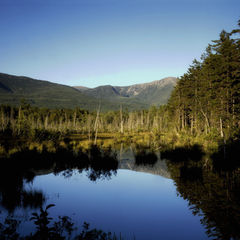 Another State Ditches Legal Doctrine To Protect Land From Gov’t Intrusion