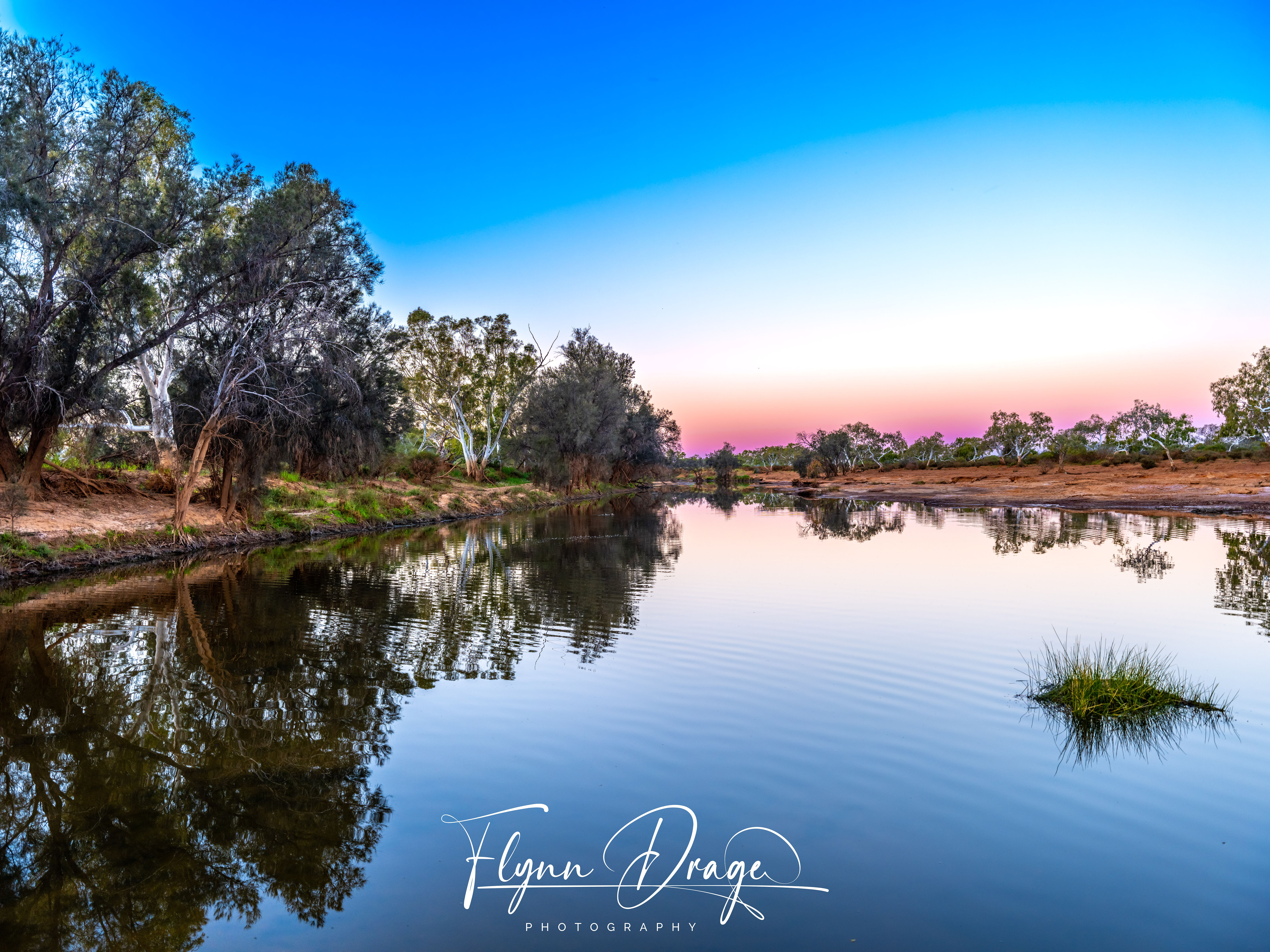 MURCHISON 11