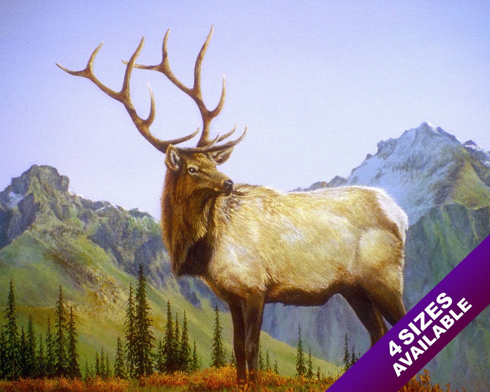 WILD ELK BULL LARGE ANTLER RACK PAINTING WILDERNESS ART REAL CANVAS PRINT
