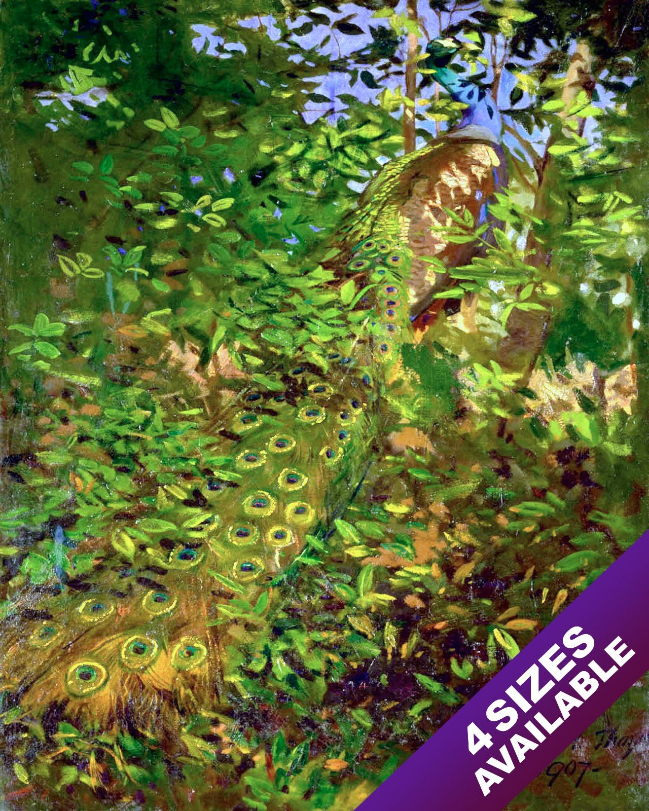 PEAKCOCK IN THE WOODS BIRD PAINTING AVIAN ART REAL CANVAS PRINT