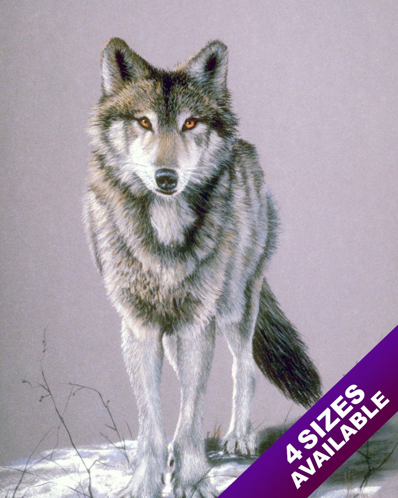 LONE WOLF STARING IN SNOW WILD ANIMAL PAINTING WILDERNESS ART REAL CANVAS PRINT