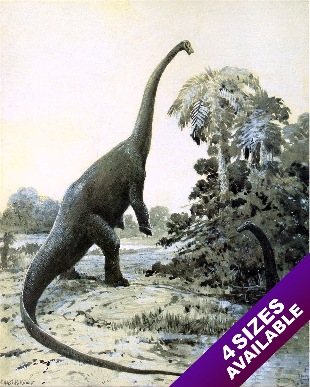 DIPLODOCUS LONGUS LARGE DINOSAUR FEEDING ON PALM PAINTING ART REAL CANVAS PRINT