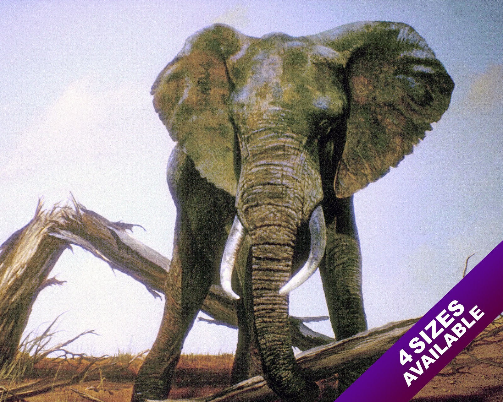 WILD AFRICAN ELEPHANT W TREE IN TRUNK ANIMAL PAINTING ART REAL CANVAS PRINT