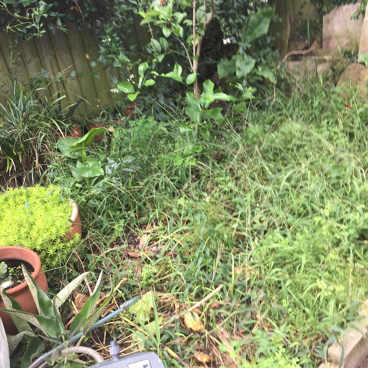 Garden beds