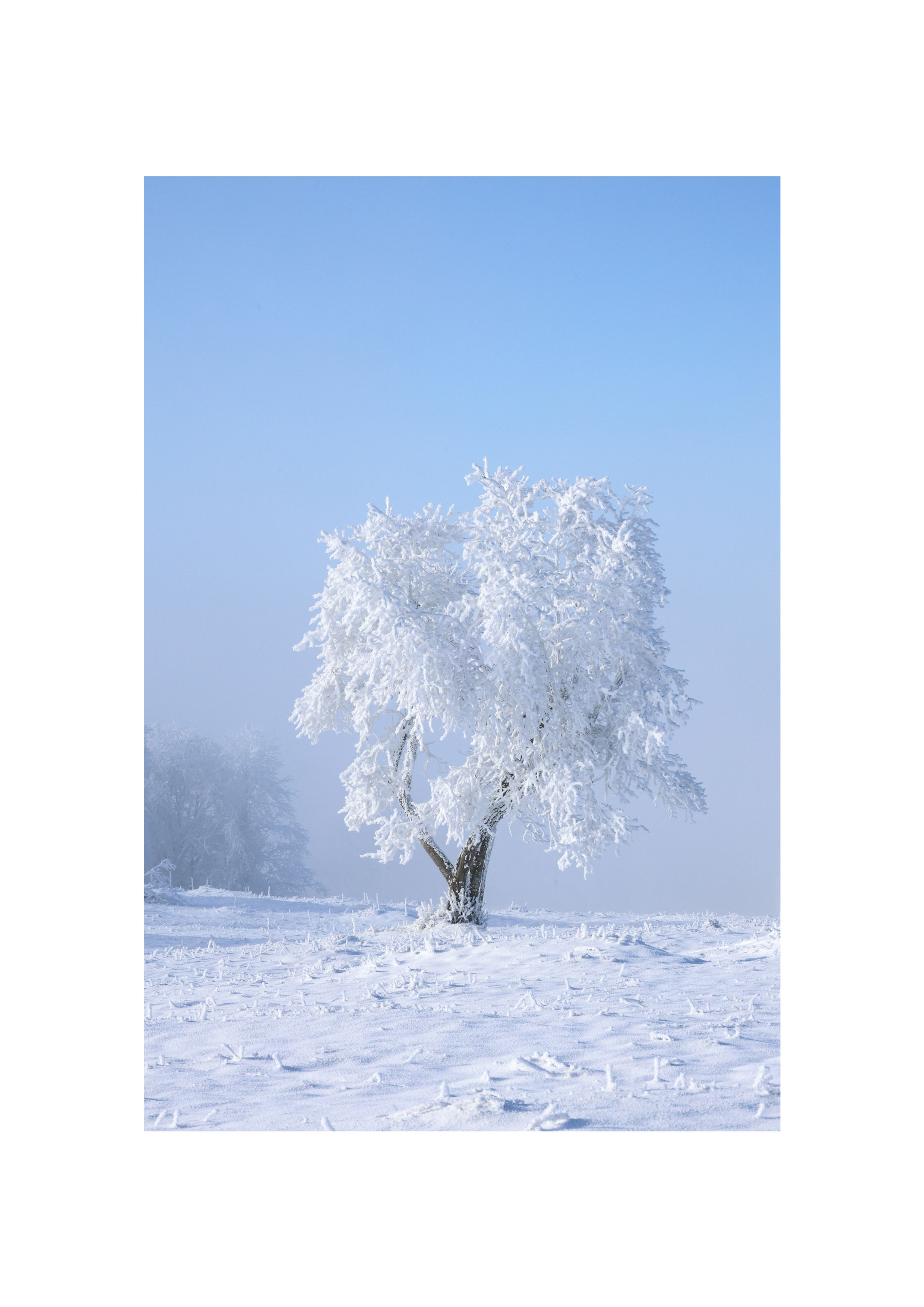 Vers le Creux du Van