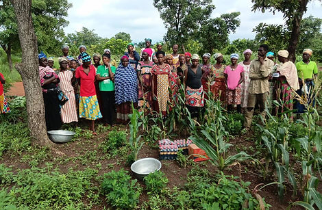 womengh wa west district