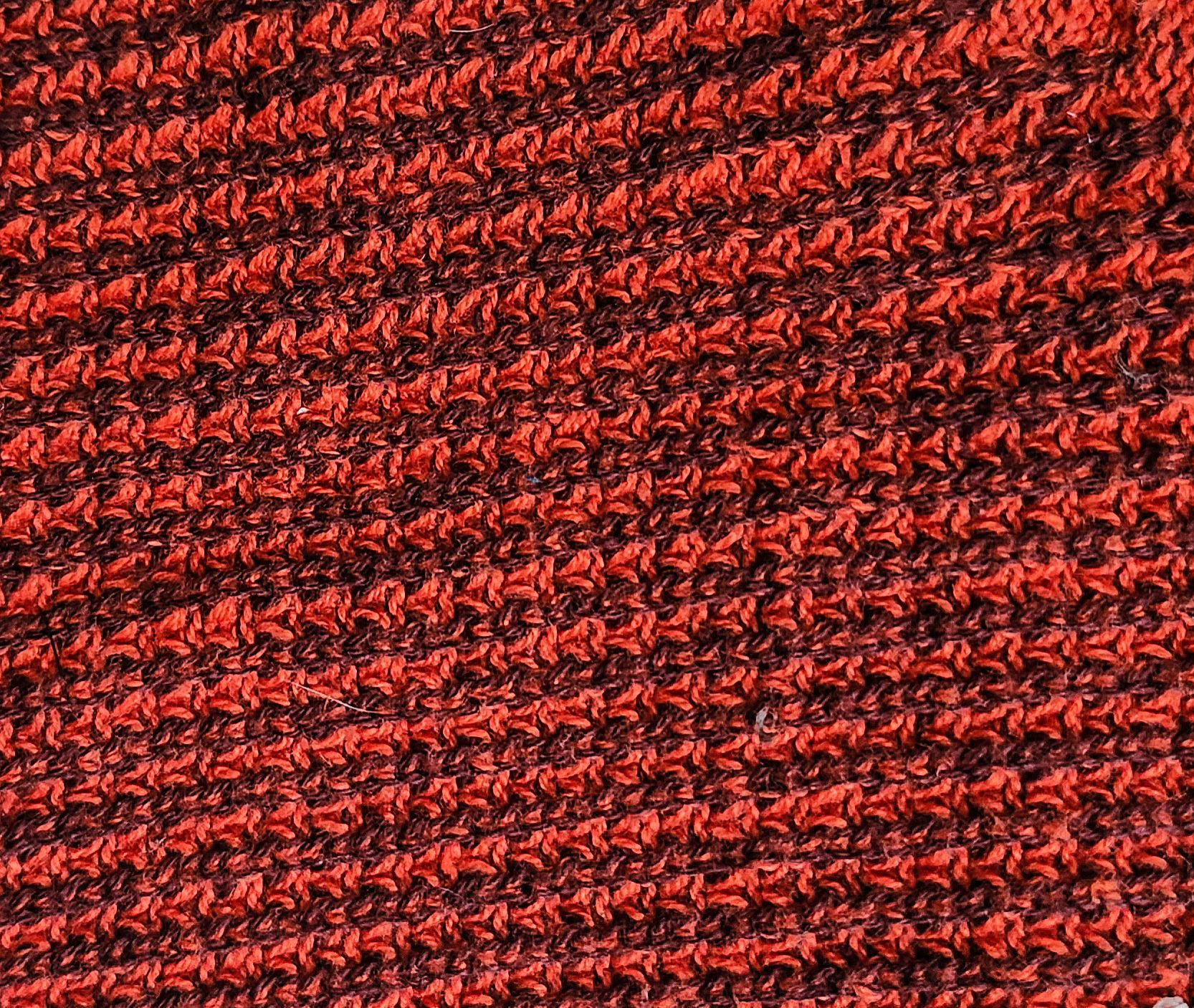 20250109_100437.jpg