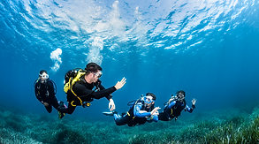 Fun Activities, Isla Mujeres, Cancun Transport by Ceviche Tours, QRoo Mexico