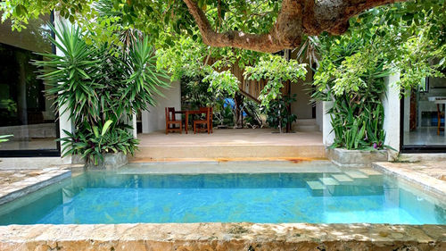 casa nalu pool