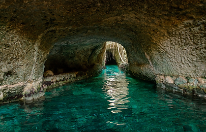 XCARET ADVENTURE PLUS