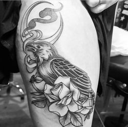 4588BDDF-A775-4FB3-BB7A-44B0BB048AFC