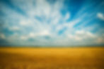 Prairies with blue sky