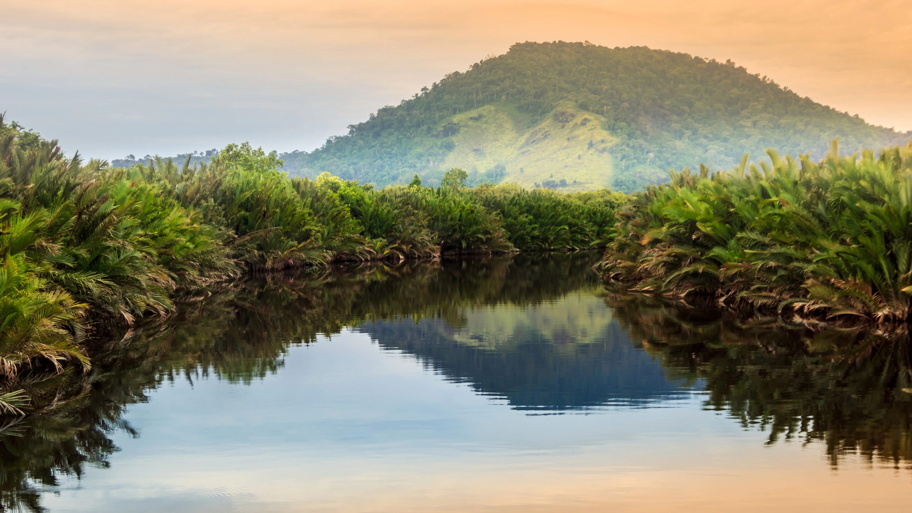 Katingan Mentaya, Indonesia
