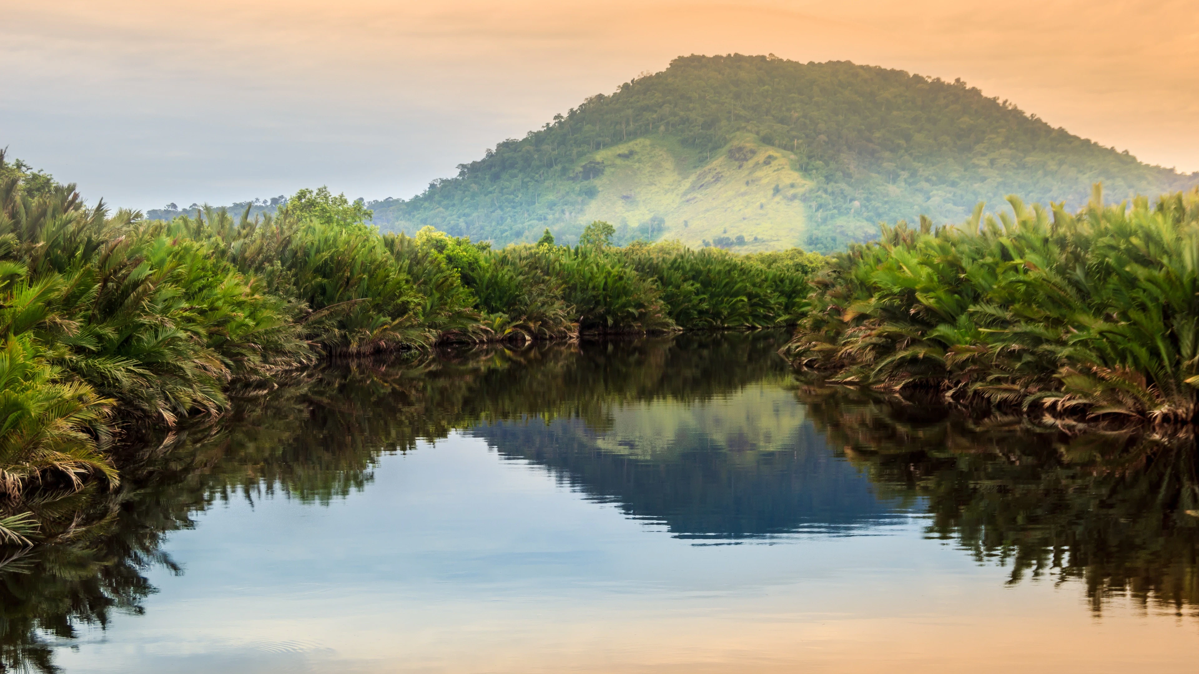 Katingan Mentaya, Indonesia
