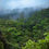 Thumbnail: ANKENIHENY–ZAHAMENA CORRIDOR BIODIVERSITY CONSERVATION (REDD+)