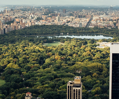 The view from Belfer Management LLC in NY