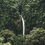 Thumbnail: Juma Sustainable Development Reserve REDD+