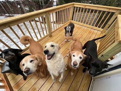 the gang outside.jpeg