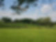 countryside and horses.jpeg