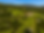 ChatGPT Image May 31, 2026, 09_59_34 AM.png